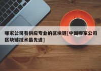 哪家公司有供应专业的区块链[中国哪家公司区块链技术最先进]